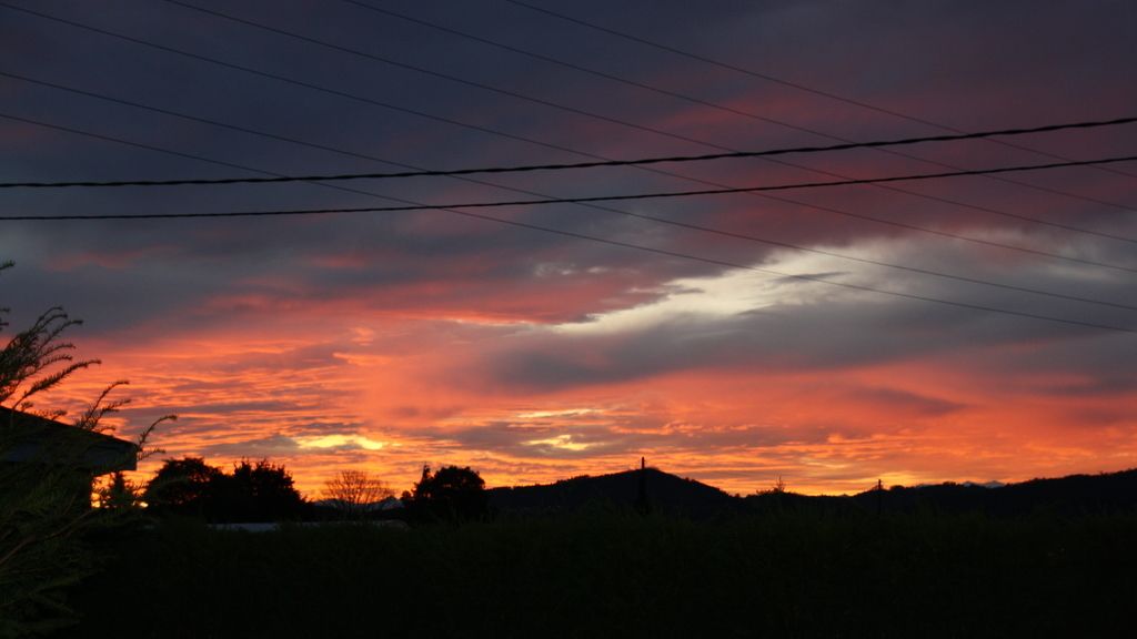 Concursantes Efecto ¡GUAU!... de tu vida