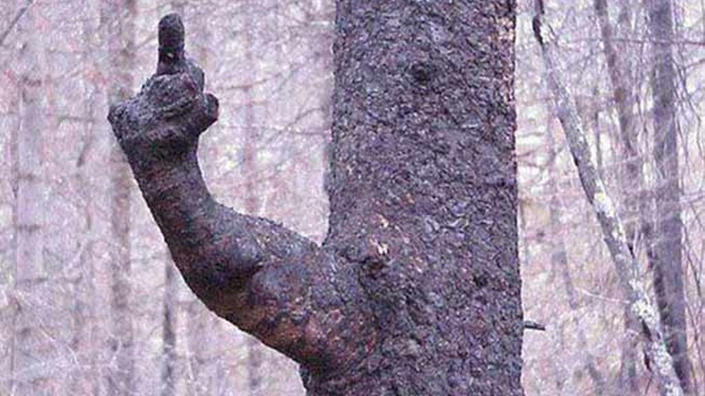 Miras y miras, pero nada es lo que parece