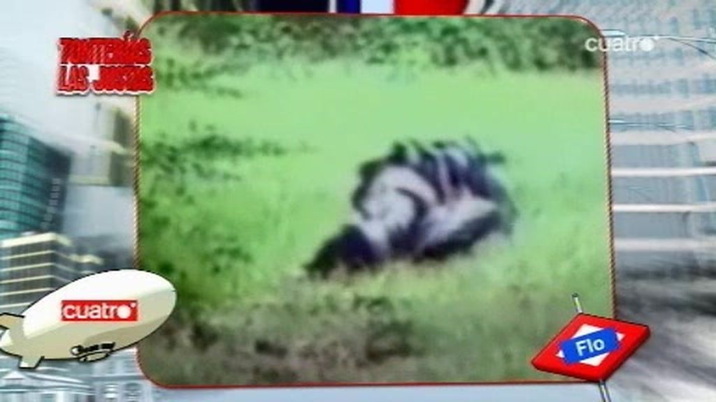 Flipo nos presenta su traje 'antiosos'