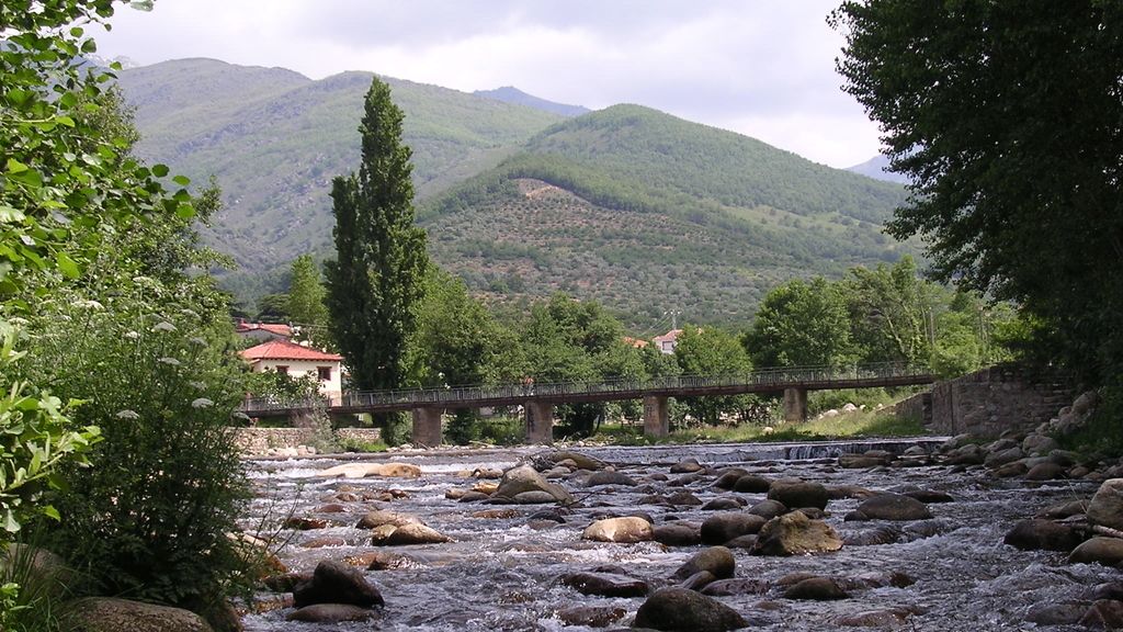 Concusantes Efecto ¡GUAU!... en vacaciones