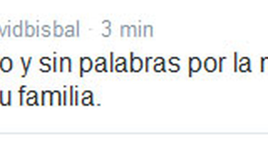 David Bisbal, La Voz Kids, Iraila