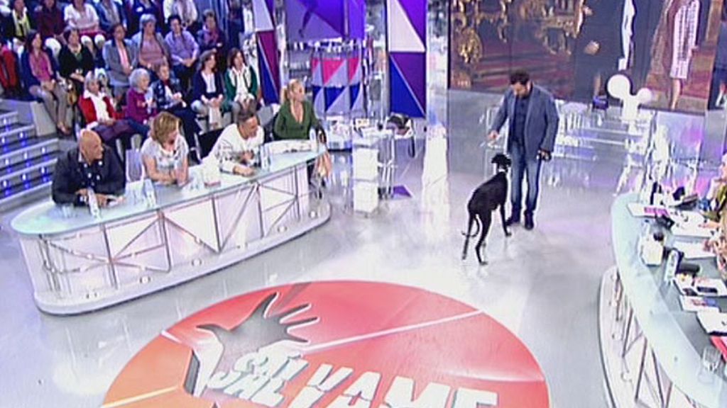 Sálvame denuncia el maltrato a los animales