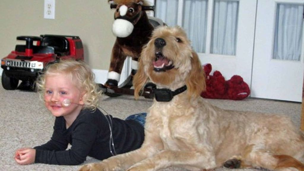 Con tres años, respira porque su perro le transporta el oxígeno