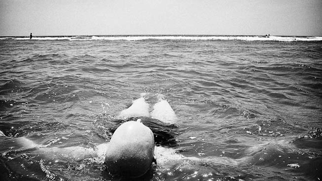 Una batalla que no eligieron