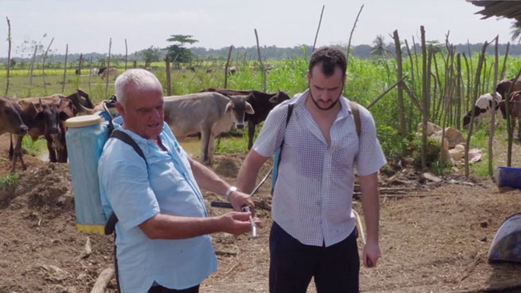 El vaquero del paraíso