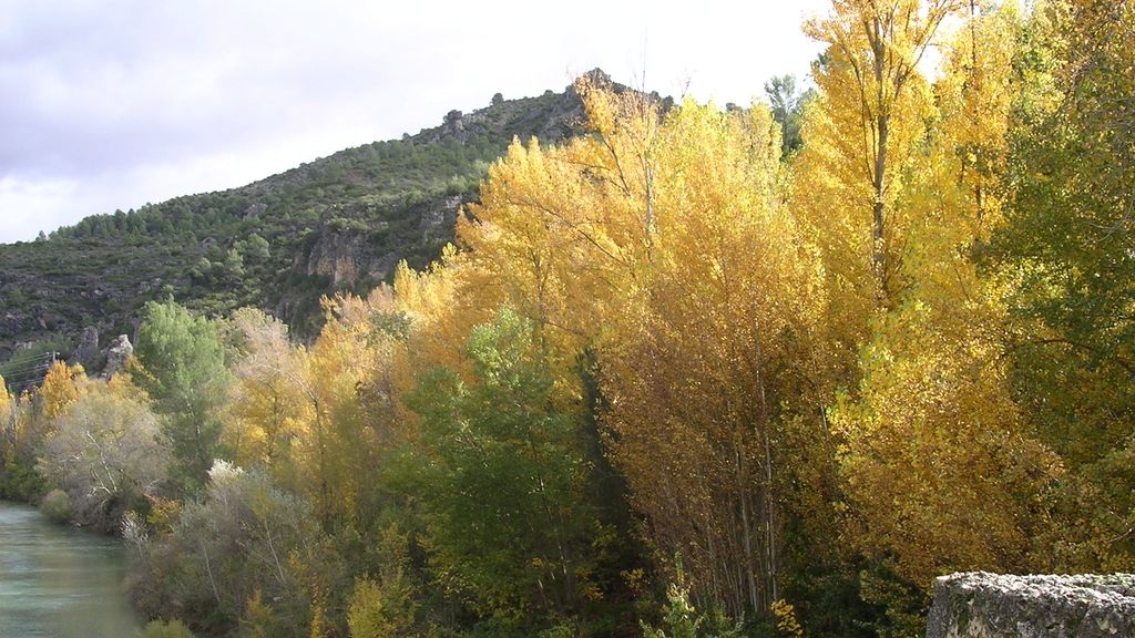 Concusantes Efecto ¡GUAU!... en vacaciones