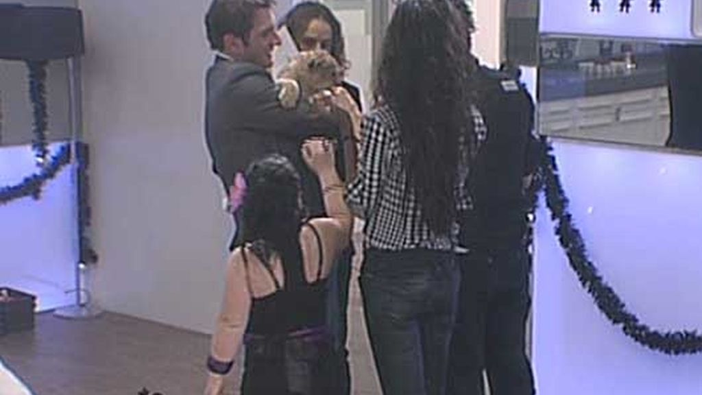 Nominaciones entre 'bichos'