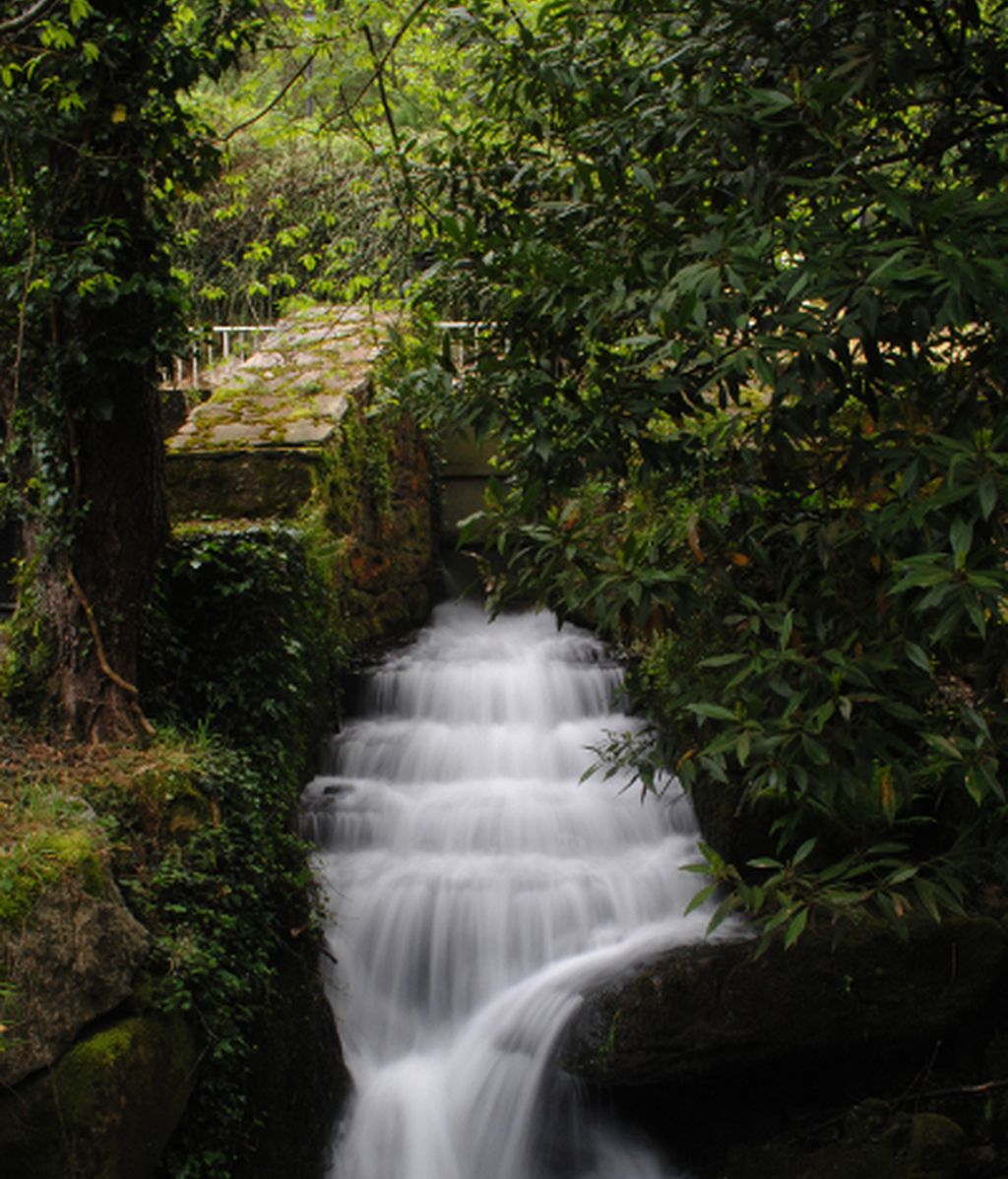 Concursantes Efecto ¡GUAU!... de tu vida