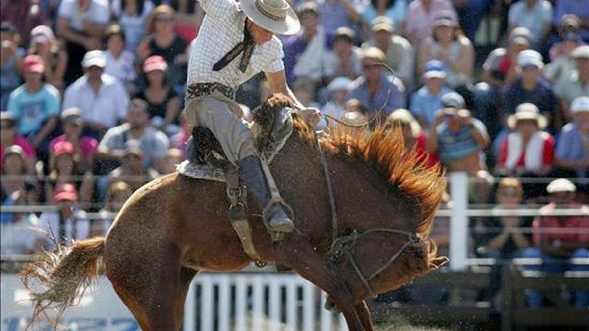 Hasta el domingo, noventa jinetes se disputan la victoria en las cuatro modalidades de esta competición -"pelo", "basto uruguayo", "basto argentino" e "internacional en pelo"-, enmarcada en la Semana Criolla del Prado de Montevideo. EFE