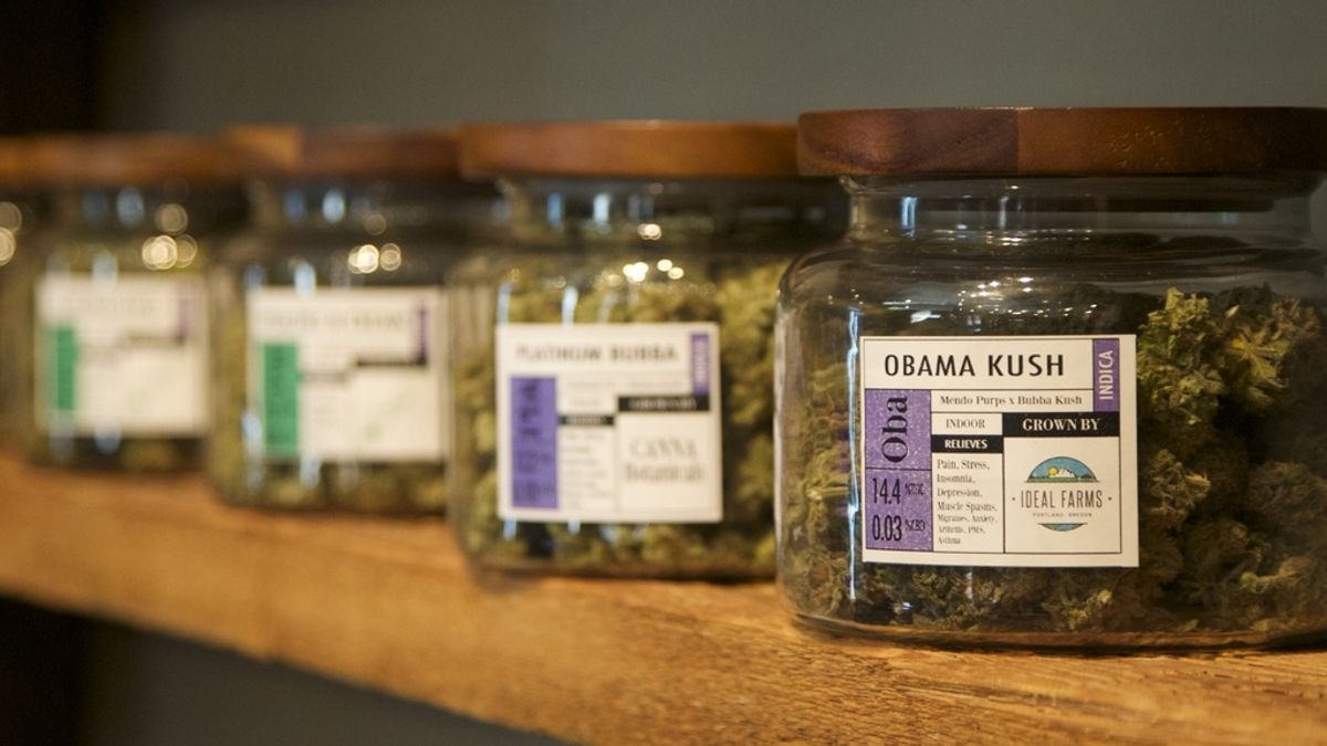 Un estante con diferentes tipos de cannabis