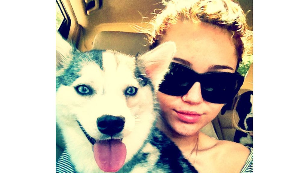 La vena perra de Miley Cyrus