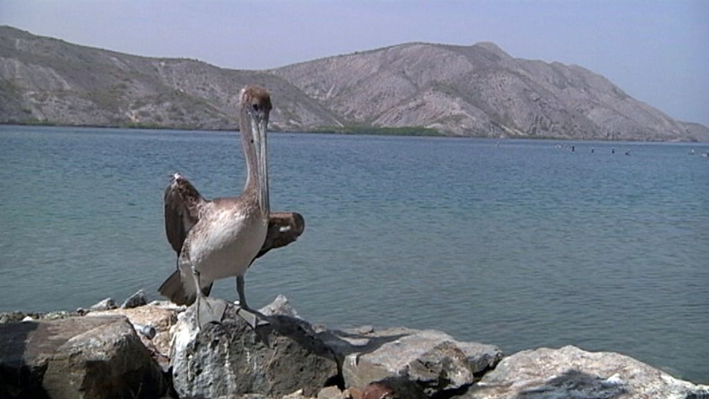 Callejeros viajeros recorre la costa de Venezuela