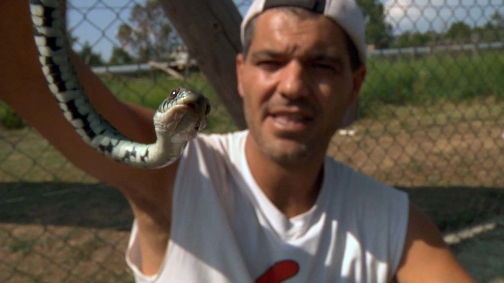 Frank Cuesta recorre España buscando selvas dentro de casas
