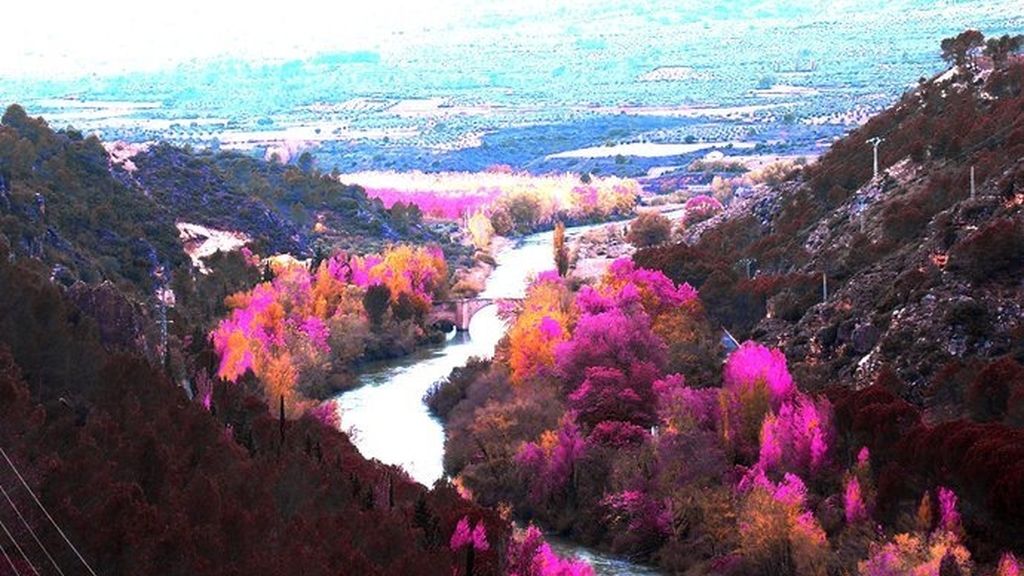 Concusantes Efecto ¡GUAU!... en vacaciones