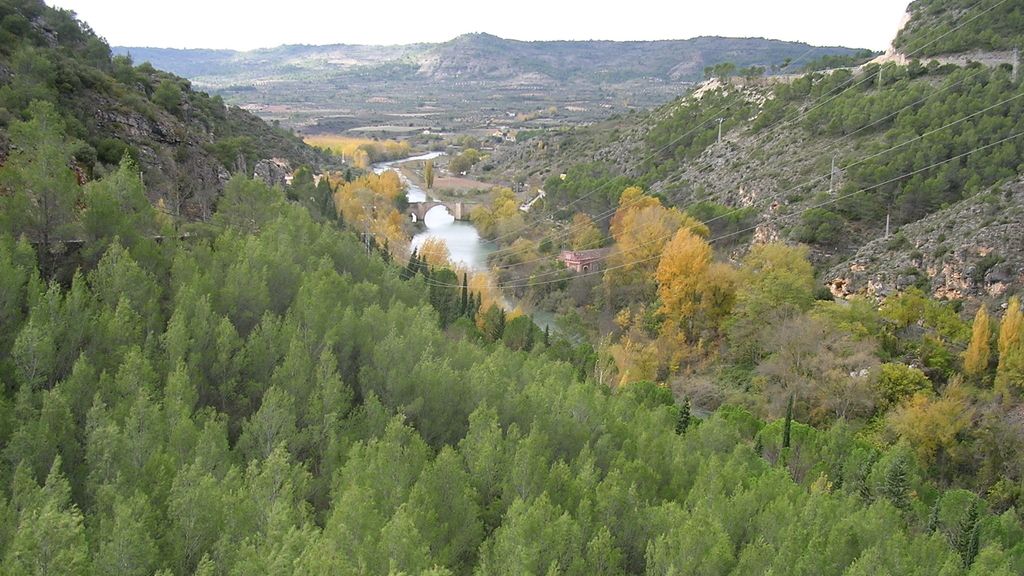 Concusantes Efecto ¡GUAU!... en vacaciones