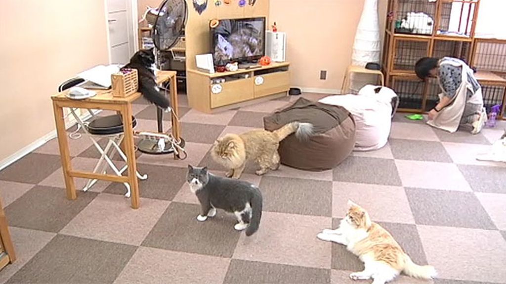 Las mejores fotos de 'Callejeros viajeros en Tokio'