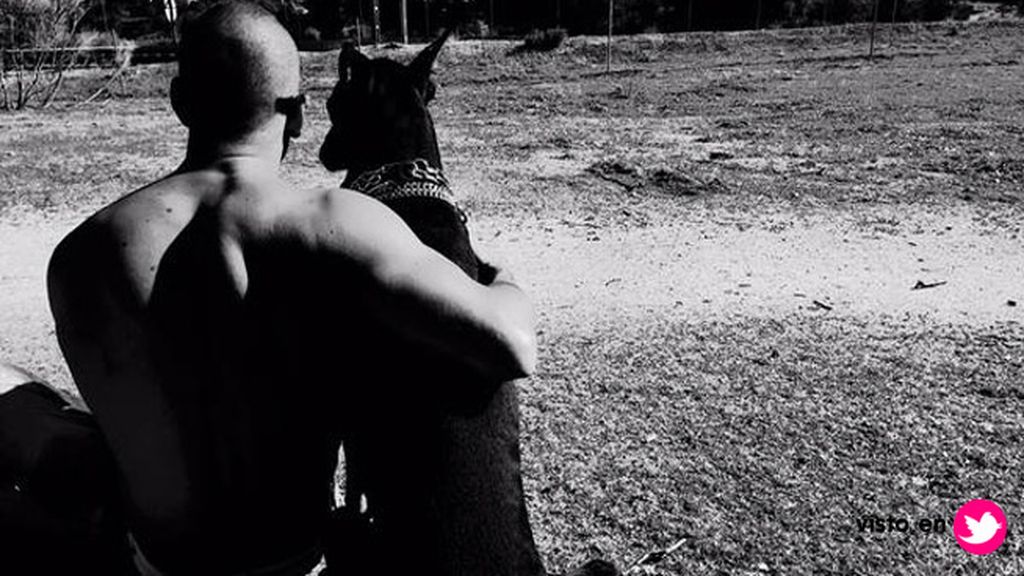 Mario Casas, un 'Toro' sin un pelo de tonto