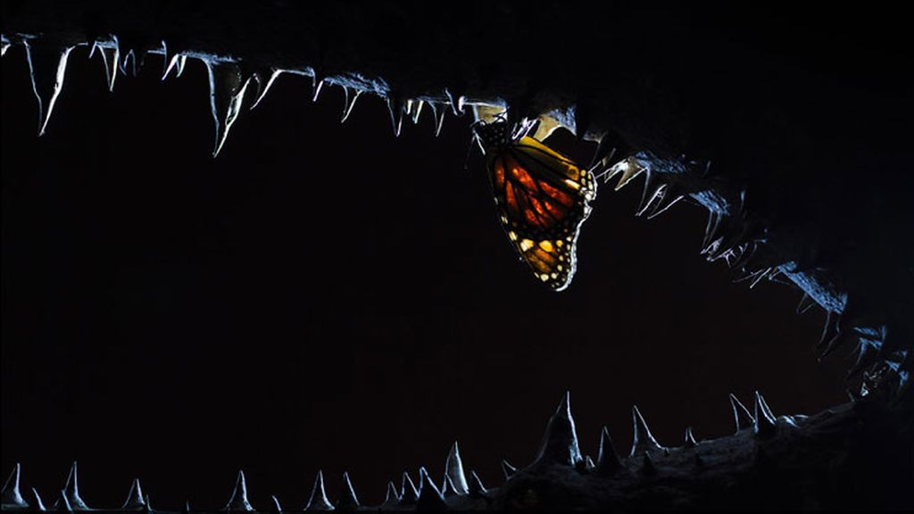 'Las fauces de la noche'
