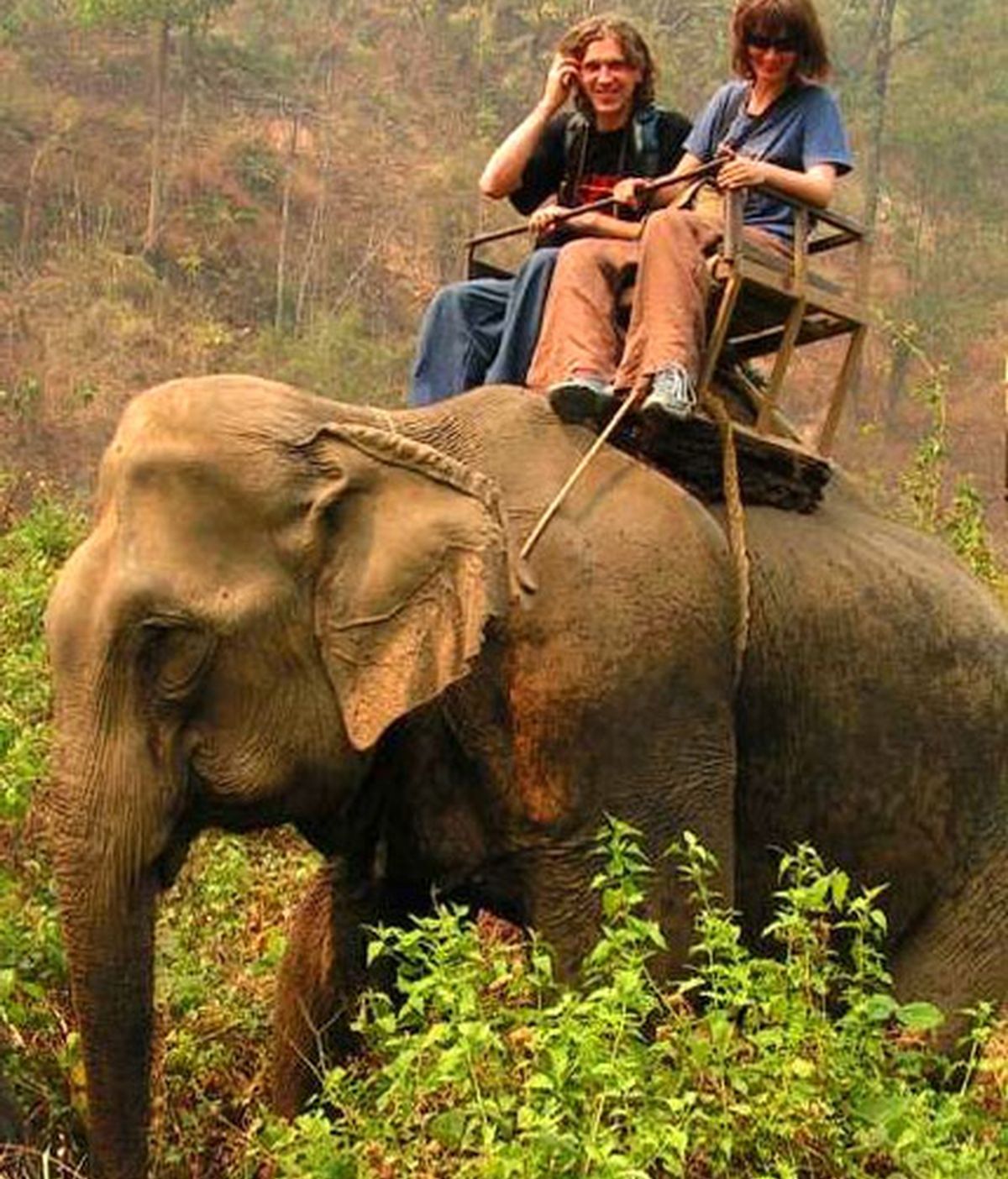 turistas elefantes, Tailandia, elefantes