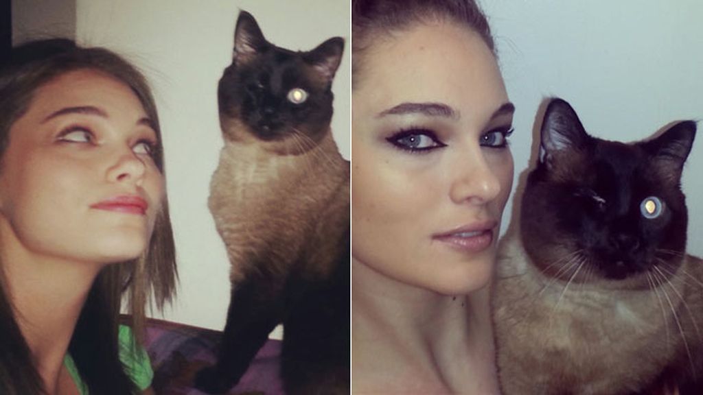 Su mejor compañía... su gata Jasmine