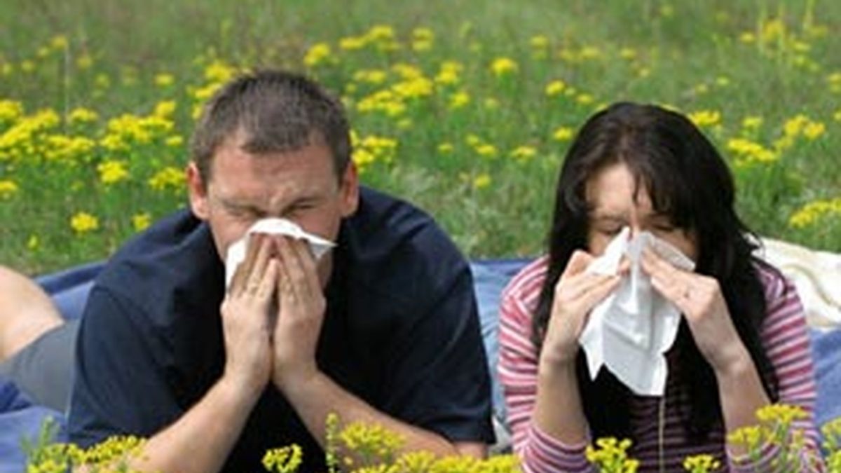 La medicina natural y una adecuada alimentación mejoran los síntomas alérgicos.