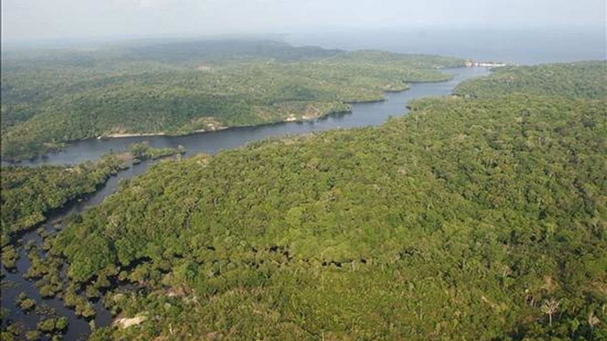 La Amazonia brasileña. EFE/Archivo