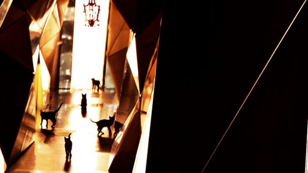 Diciembre: Ana Rosa da la bienvenida a las primeras nieves