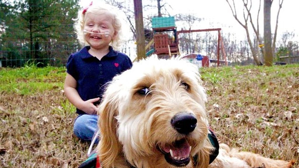 Con tres años, respira porque su perro le transporta el oxígeno