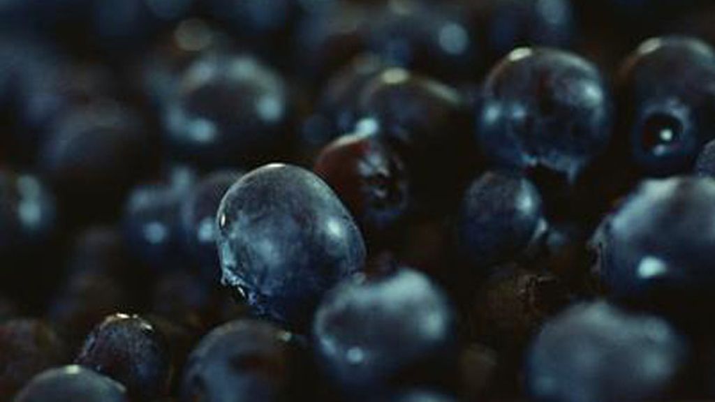 Son ricos en vitaminas, minerales, proteínas y desintoxicantes