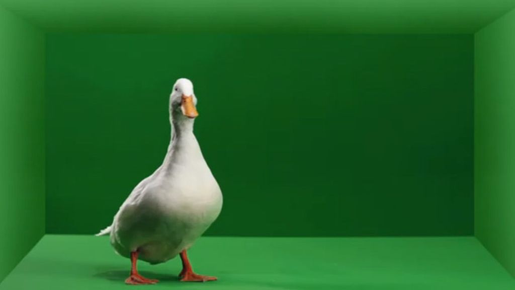 Liberad al pato Willix con X de Mixta, encabeza el ranking