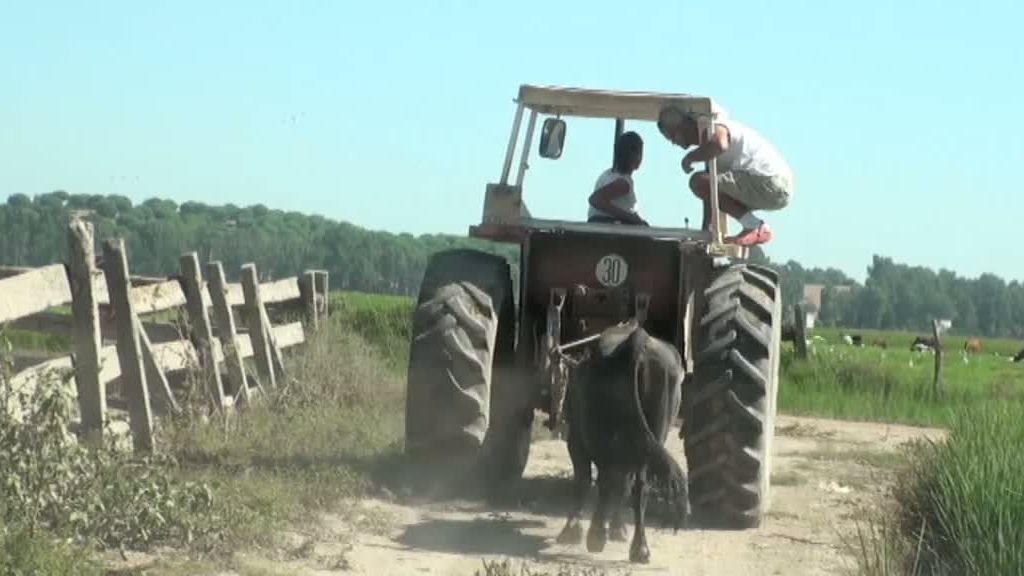 La selva en casa, Programa 4