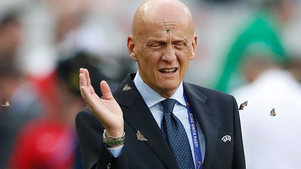 Collina y Deschamps, 'atacados' por los insectos