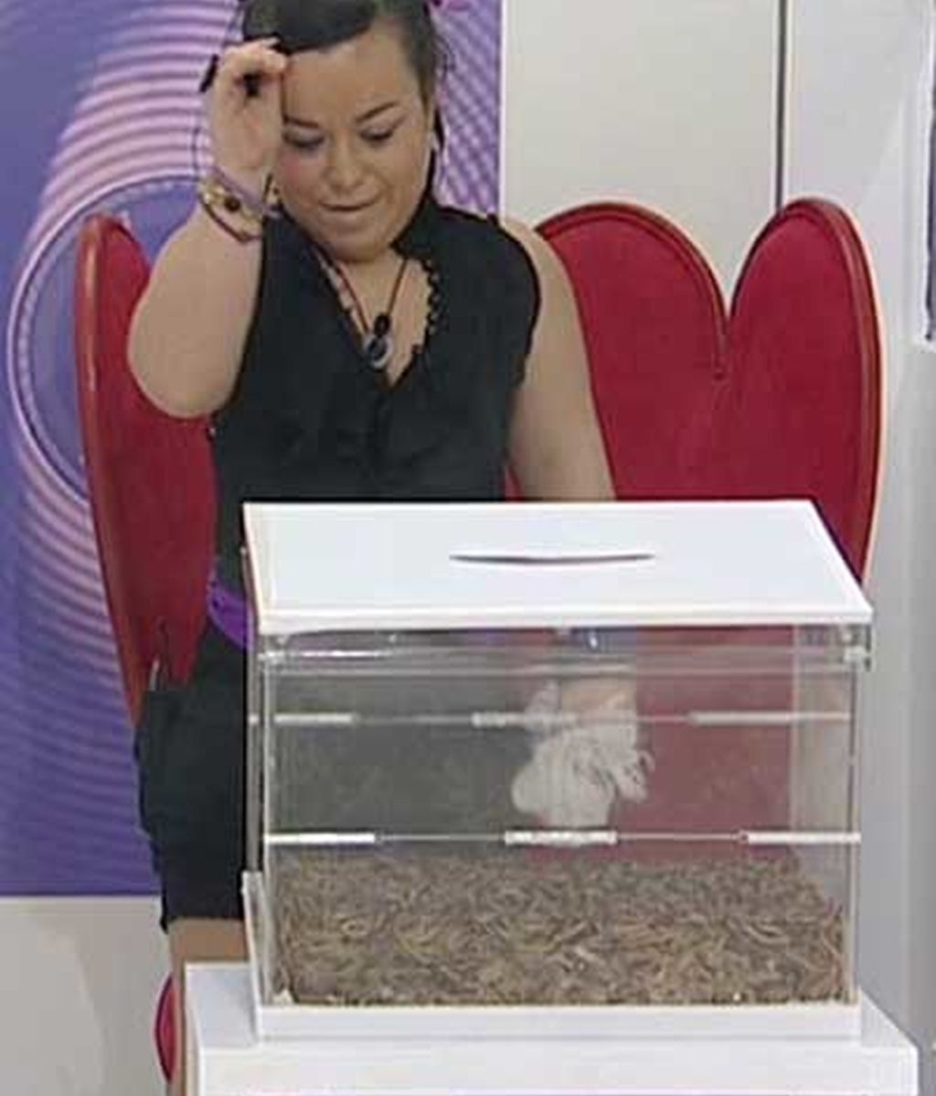 Nominaciones entre 'bichos'