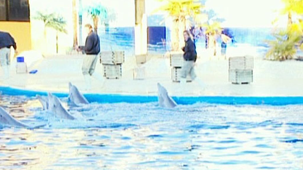 Indhira y Edu (16/02/11)