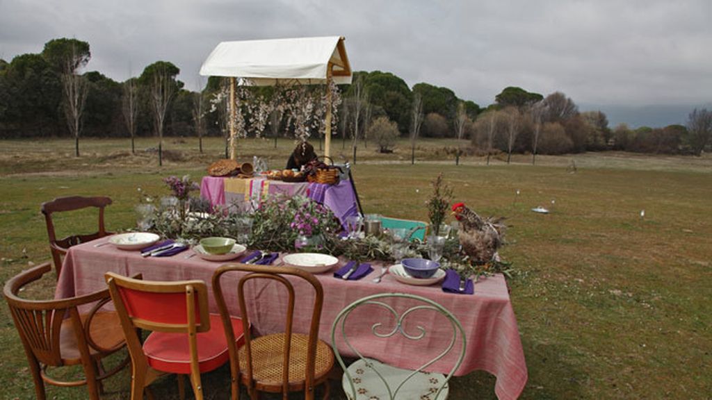 bodas