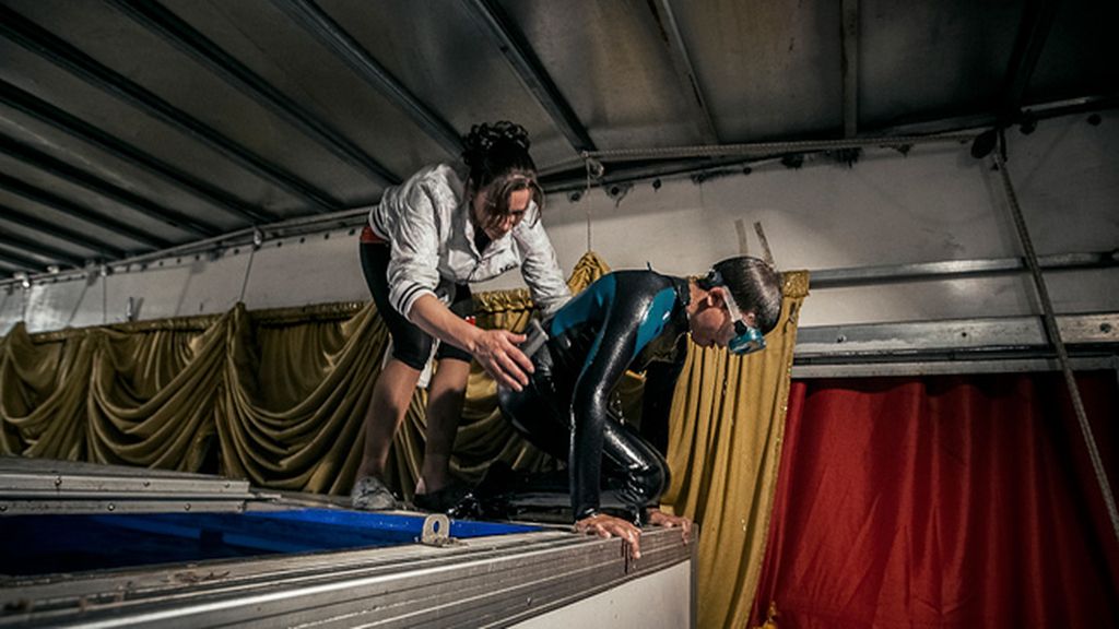 La mayoría son hijos de artistas o de los dueños
