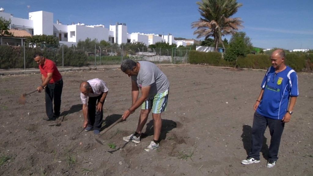 Proliferación de los timos en Internet