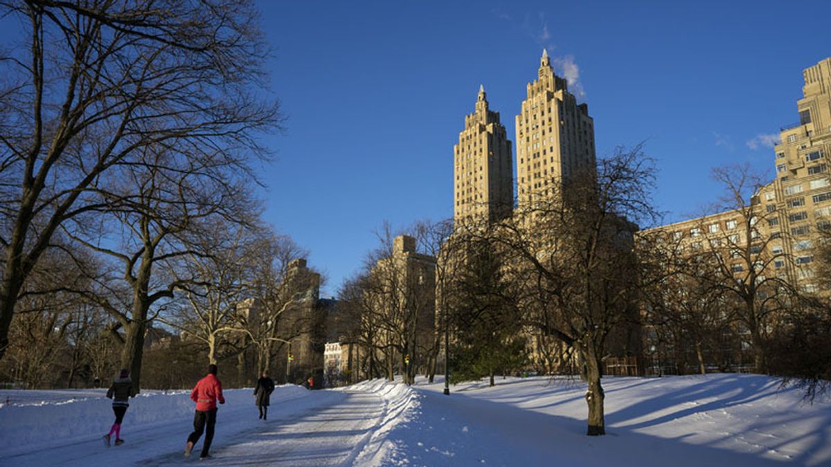 El Central Park sufre la fuerte nevada de 'Jonas'