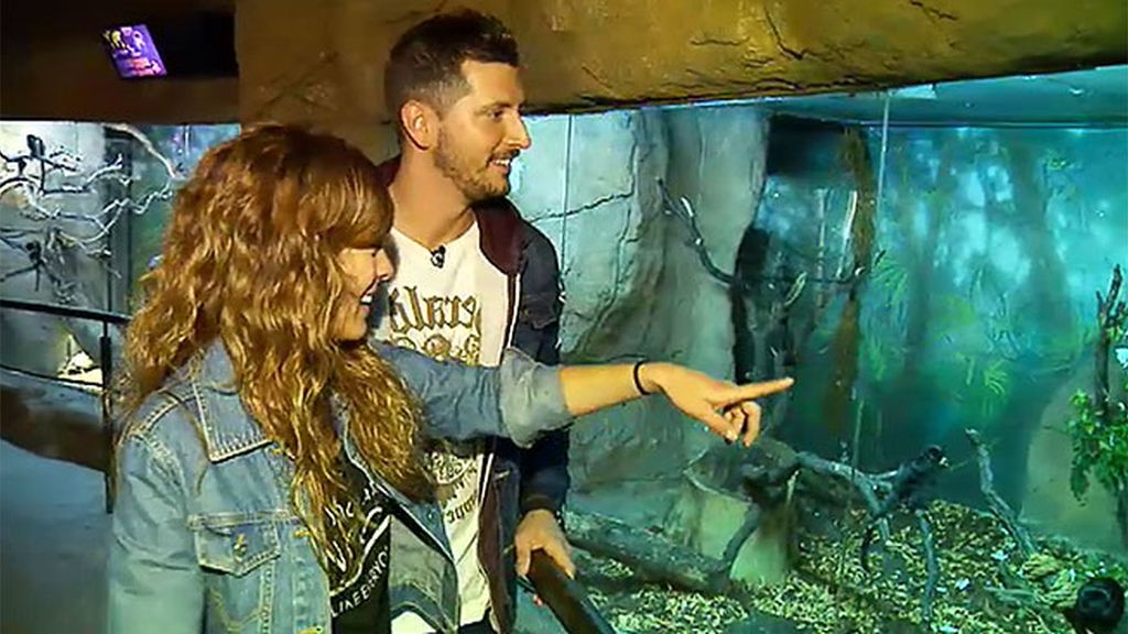 Susana, sobre Shaila: "Creo que me tiene envidia porque soy una chica súper feliz"