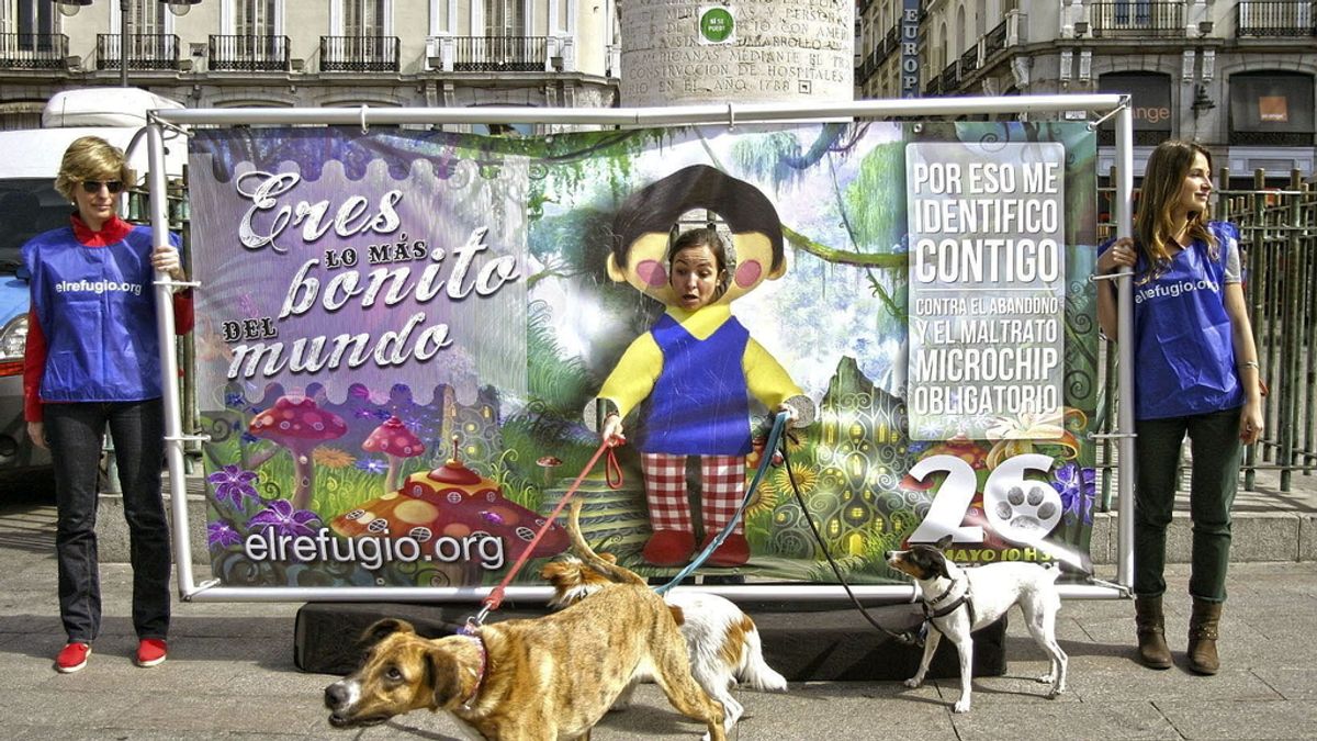 La protectora El Refugio se manifiesta contra el maltrato y abandono de animales La protectora El Refugio se manifiesta contra el maltrato y abandono de animales
