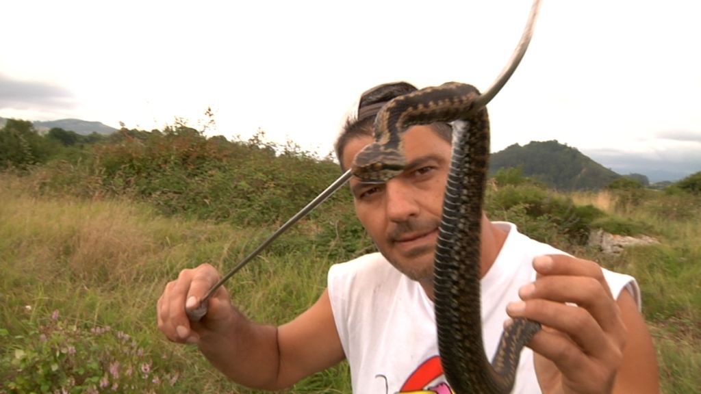 Frank encuentra camellos, caimanes y leones en su viaje por España