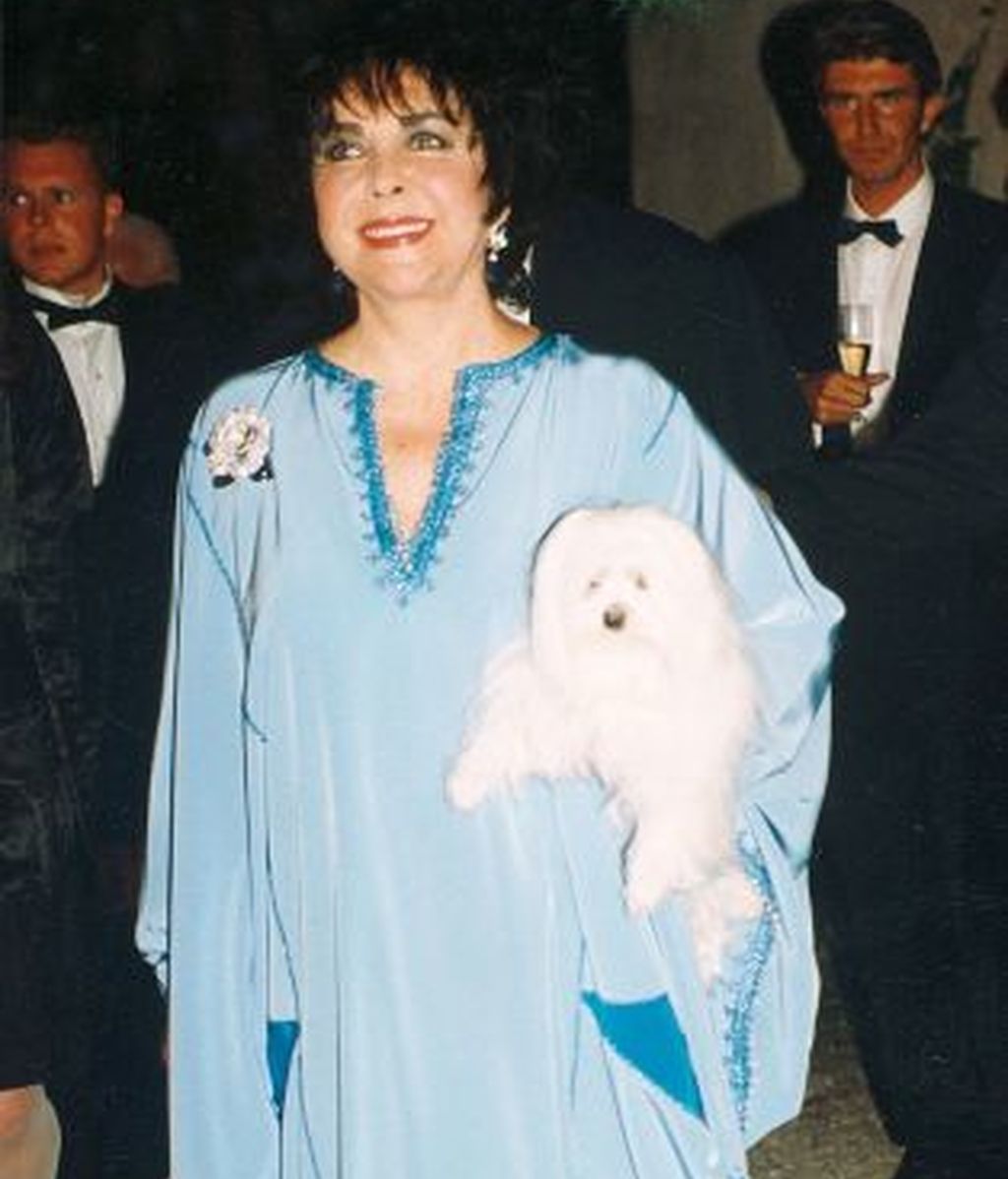 Un perro, el complemento ideal