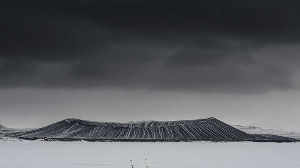 Increíbles imágenes del mundo salvaje