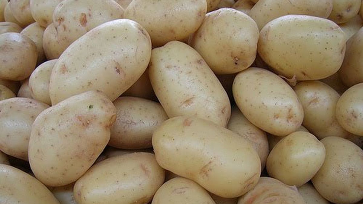 El consumo moderado de patatas no produce aumento de peso.