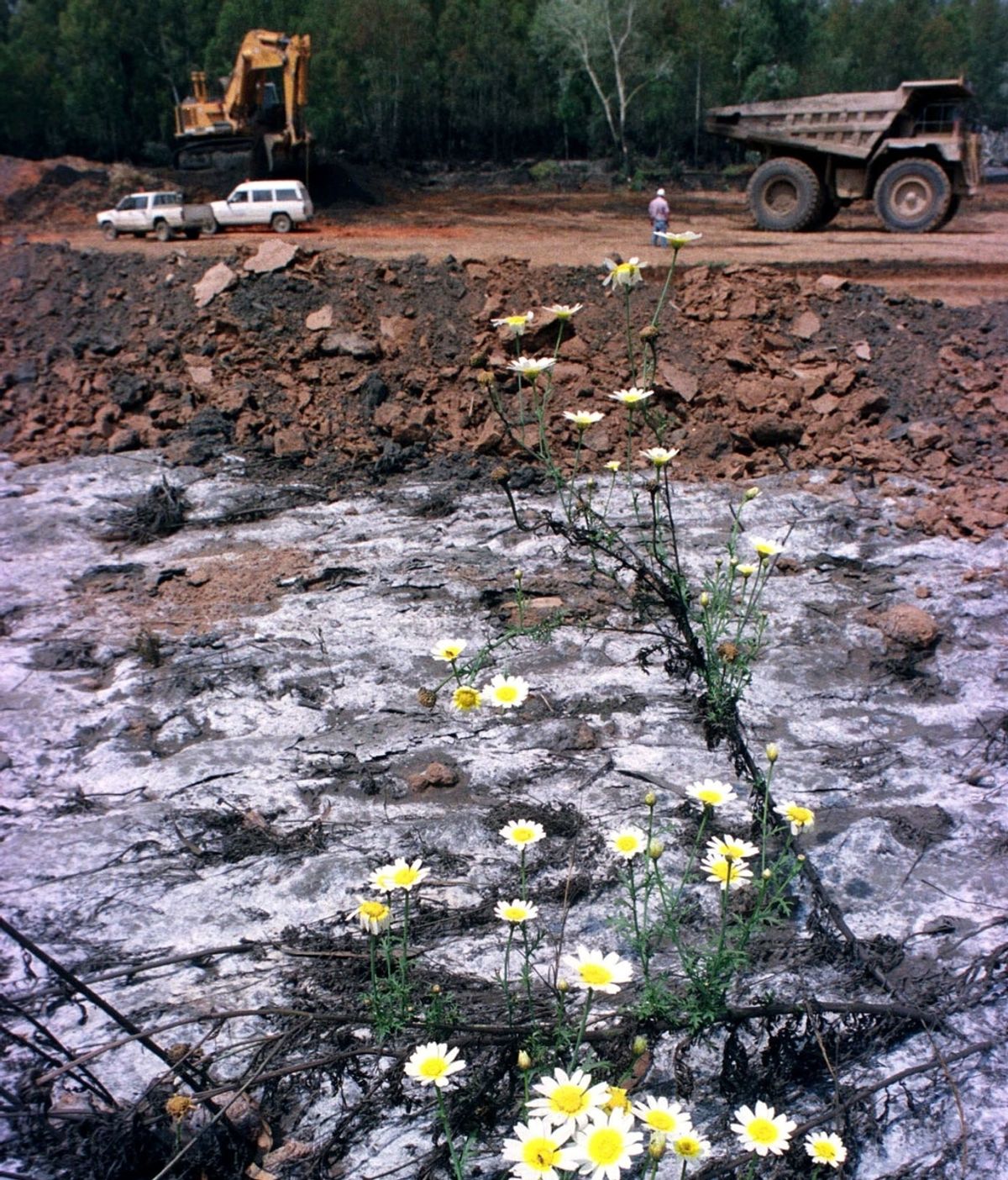 Residuos después del vertido de Aznalcóllar (Sevilla) en 1998