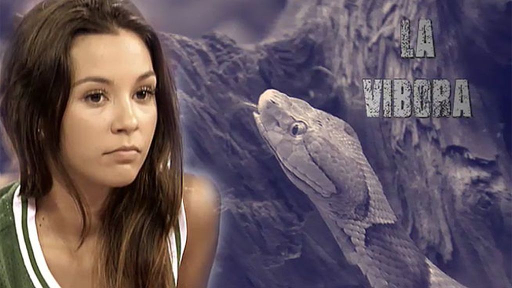 Susana, sobre Shaila: "Creo que me tiene envidia porque soy una chica súper feliz"