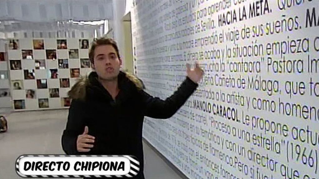 La biografía de la cantante, escrita en una inmesa pared