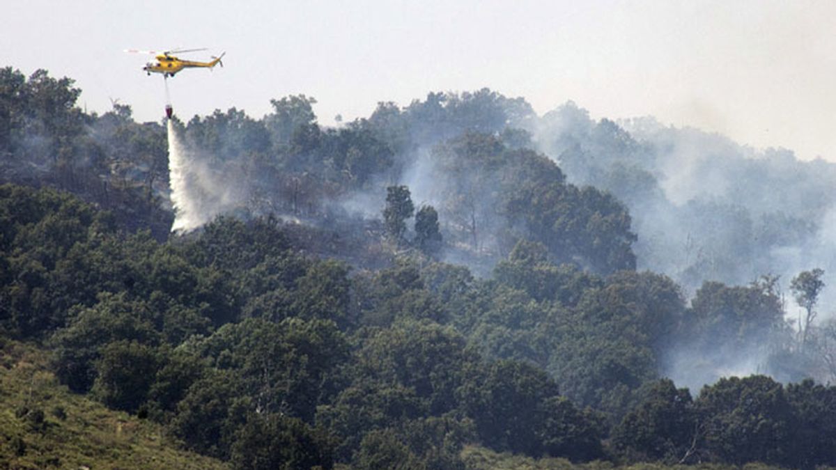 Medio Ambiente interviene este lunes en las labores de extinción de seis incendios