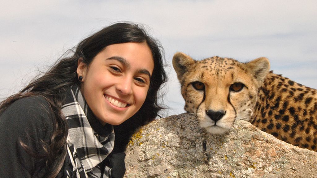 Concusantes Efecto ¡GUAU!... en vacaciones