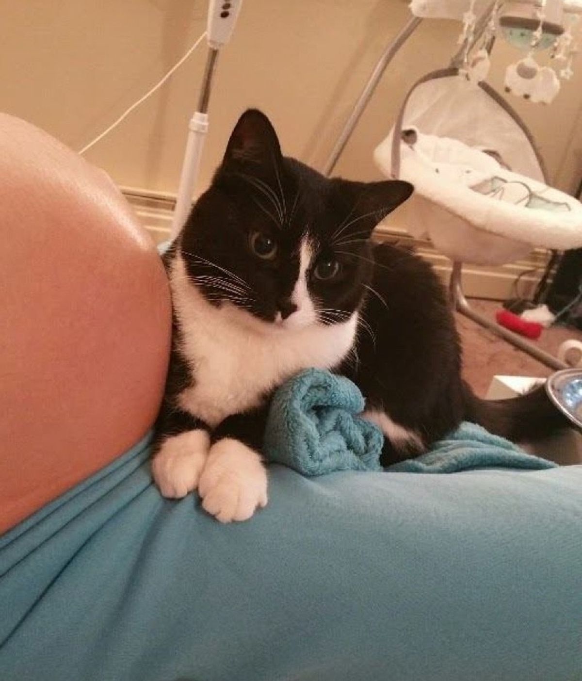 Cuidó de ella durante todo el embarazo